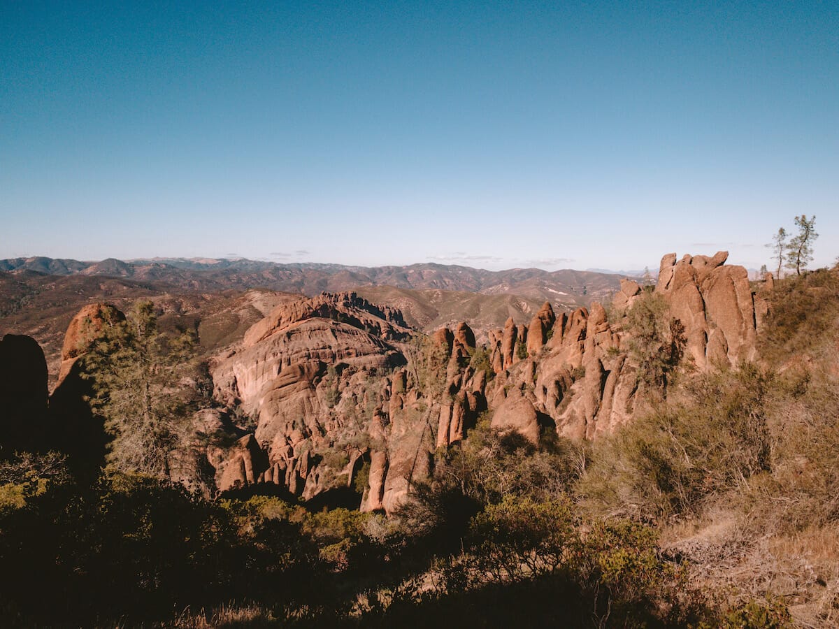 are dogs allowed at pinnacles national park